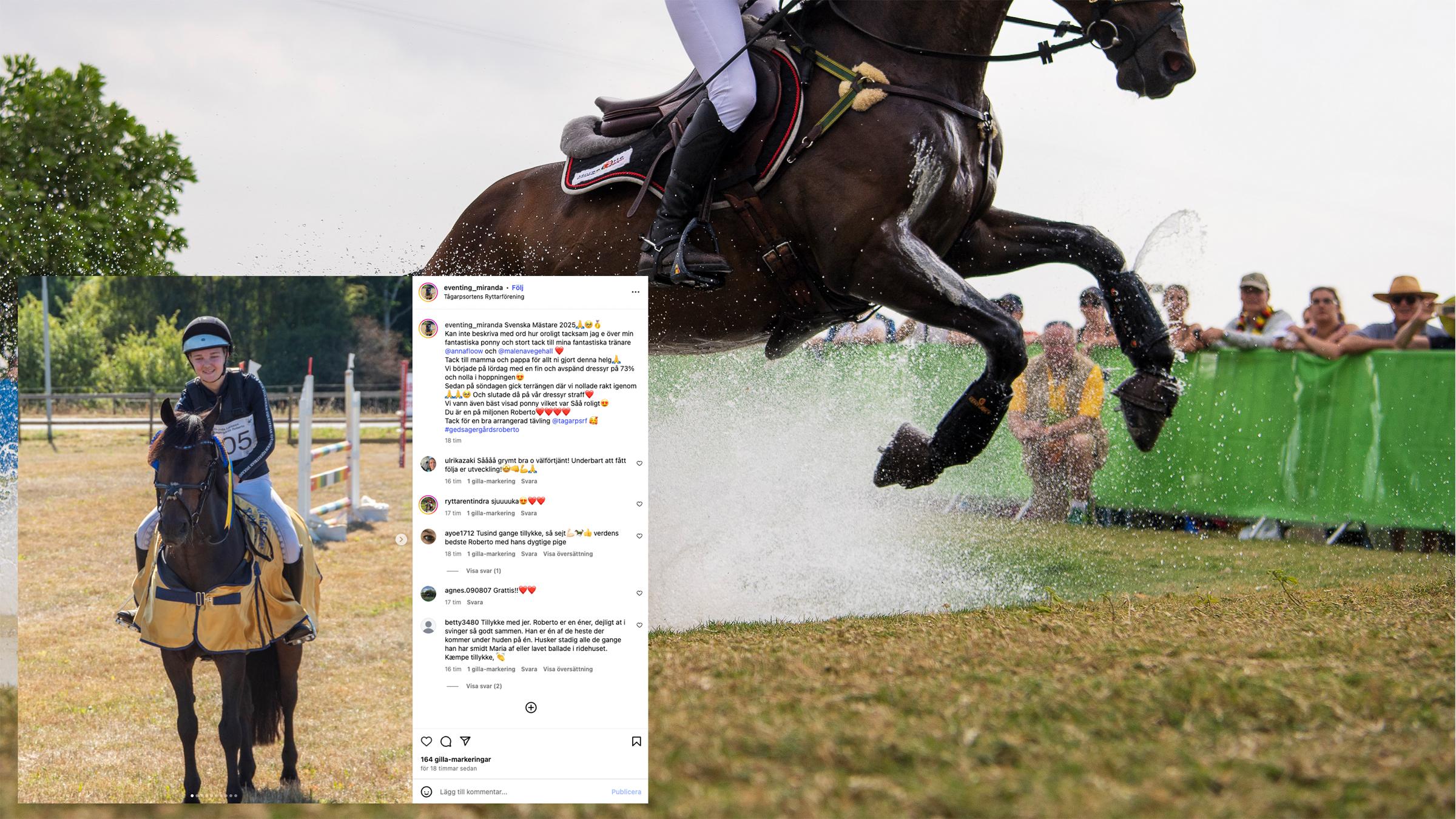 Arkivfoto: Joel Marklund/Bildbyrån