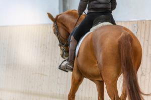Foto: Adobe Stock 