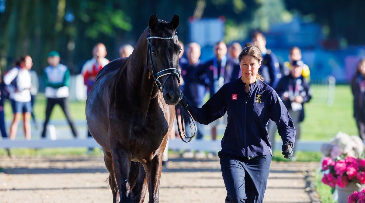Maria von Essen och Invoice vid hästbesiktningen inför OS i Paris 2024. Foto: Tomas Holcbecher