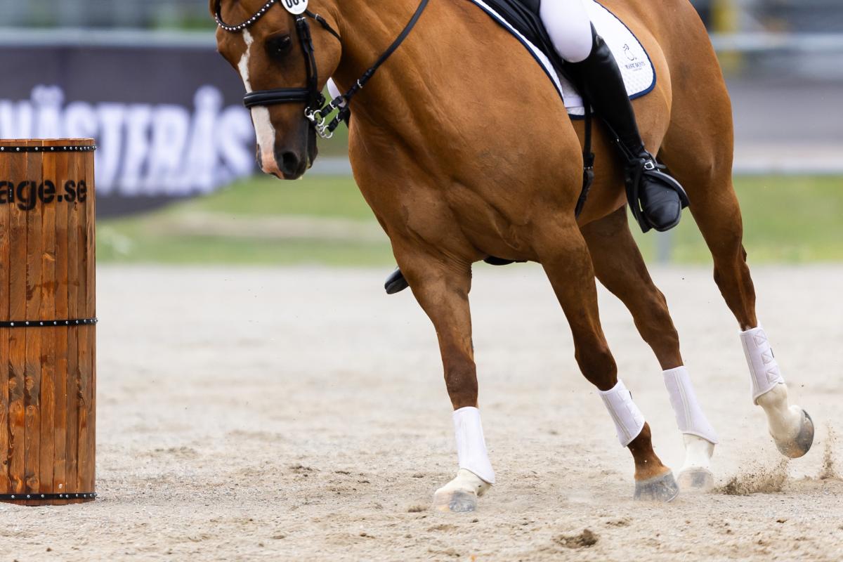 Genrebild. Foto: Tobias Sterner/Bildbyrån