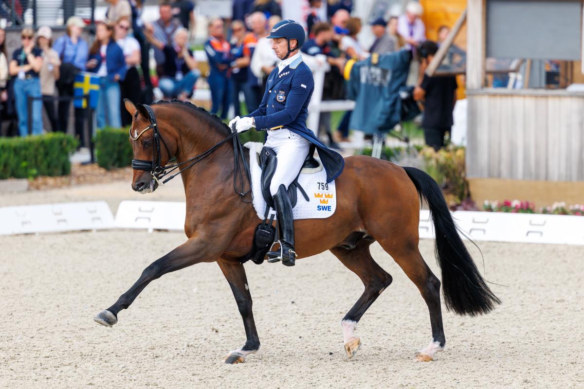 Foto: Tomas Holcbecher