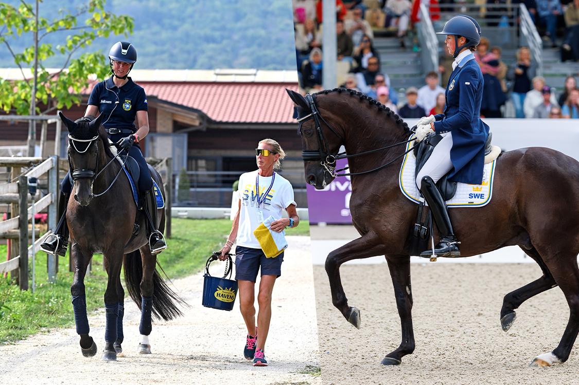 Foto: Kristine Ulsø Olsen/Tomas Holcbecher
