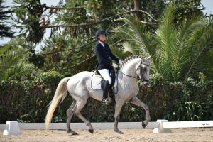 Från Kanada till Piteå – hästliv, tävlingar och we-träningar i full fart