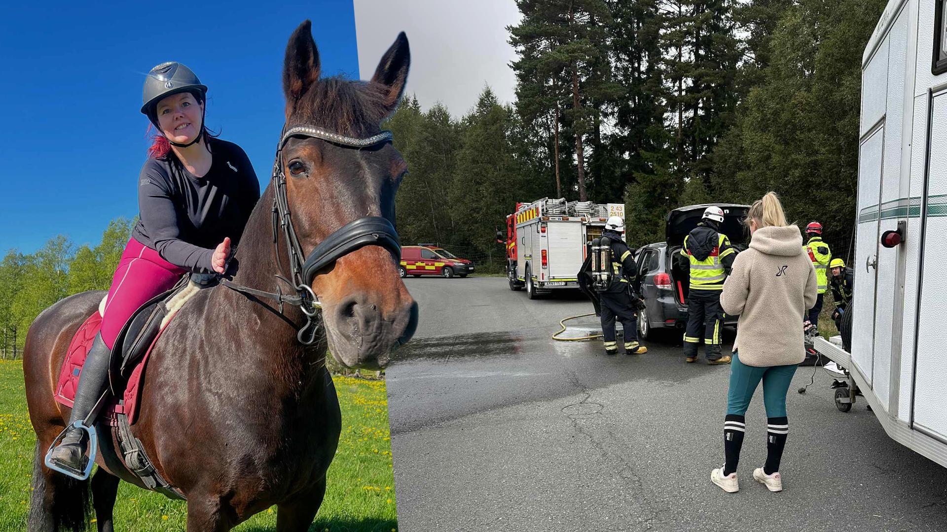 Det kunde varit Desiree Johansson och hästen Marizza som satt fast på vägen – och därför ryckte hon in för att hjälpa. Foto: Privat