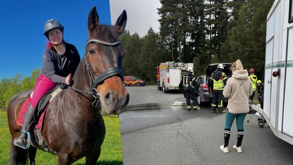 Det kunde varit Desiree Johansson och hästen Marizza som satt fast på vägen – och därför ryckte hon in för att hjälpa. Foto: Privat