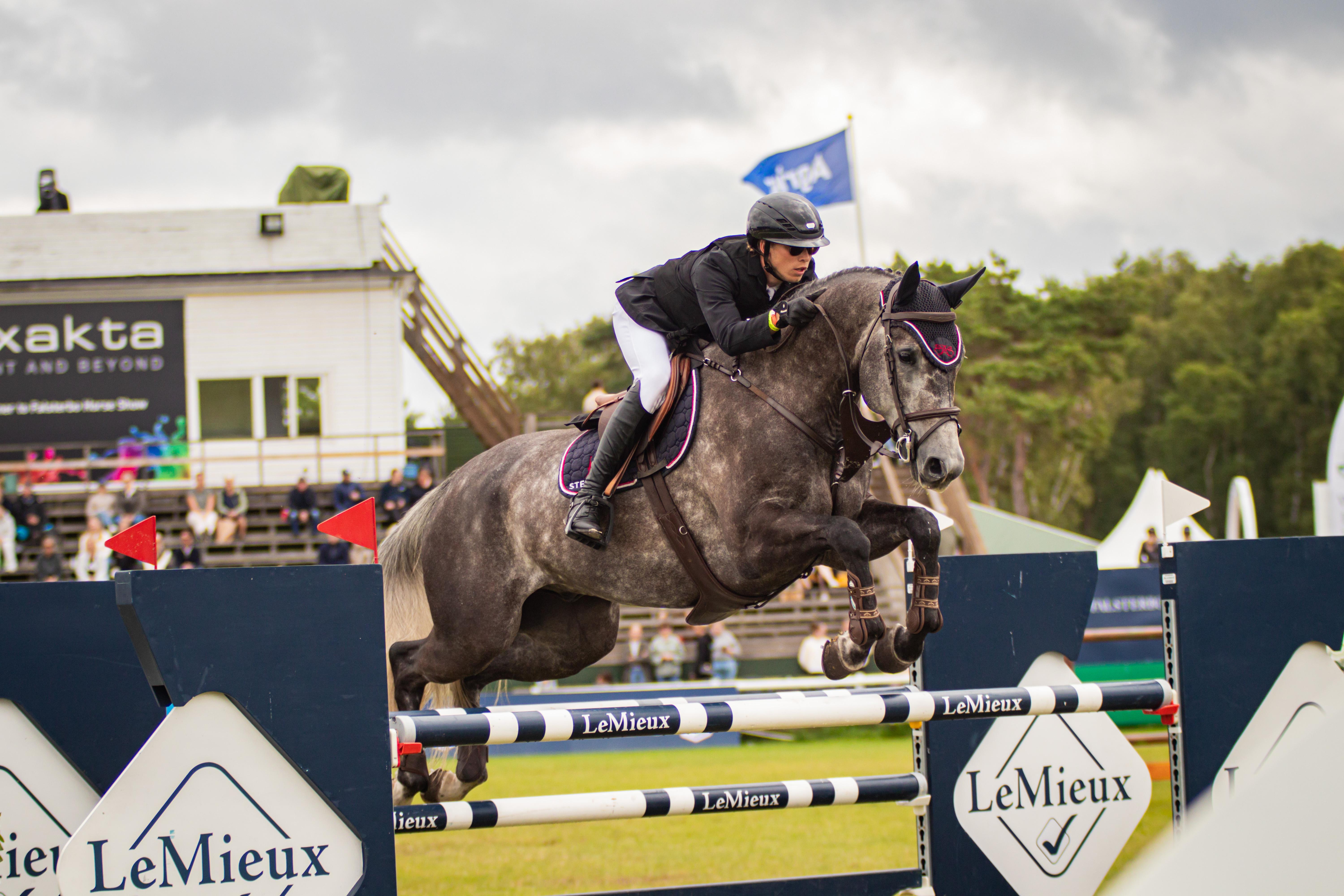 Andre Brandt och New Action under Falsterbo Horse Show 2025. Foto: Clara Wallin