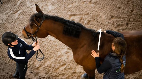 Foto: EquiKraft