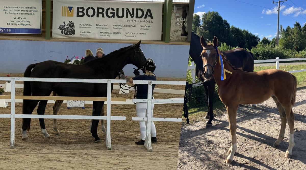 Fölchampionatet väntar och tuffa beslut