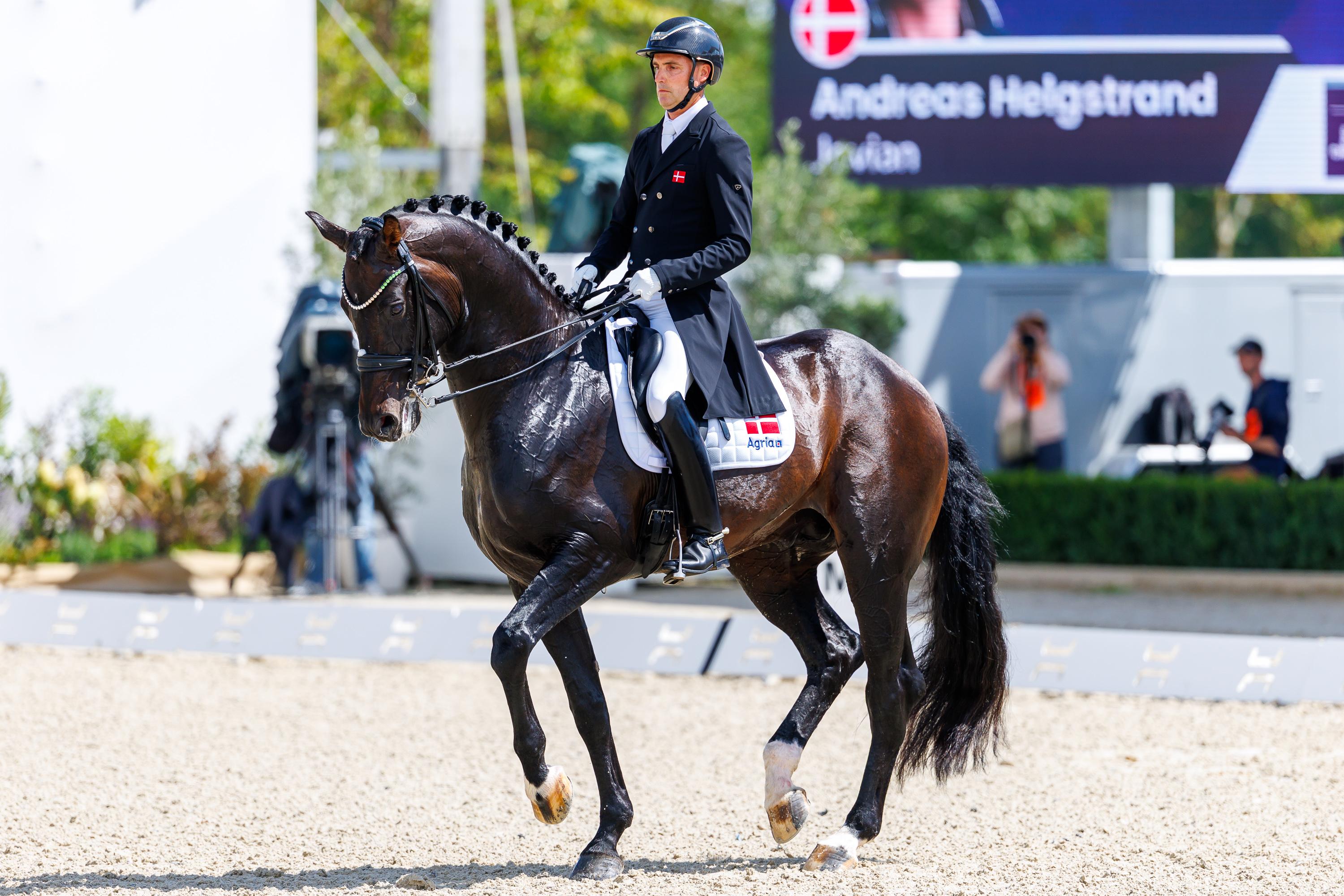 Foto: Tomas Holcbecher 