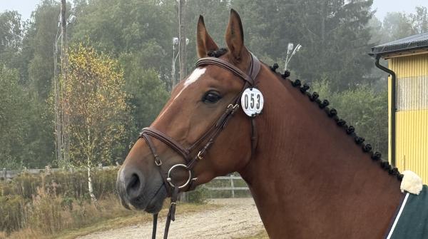 Foto: Privat