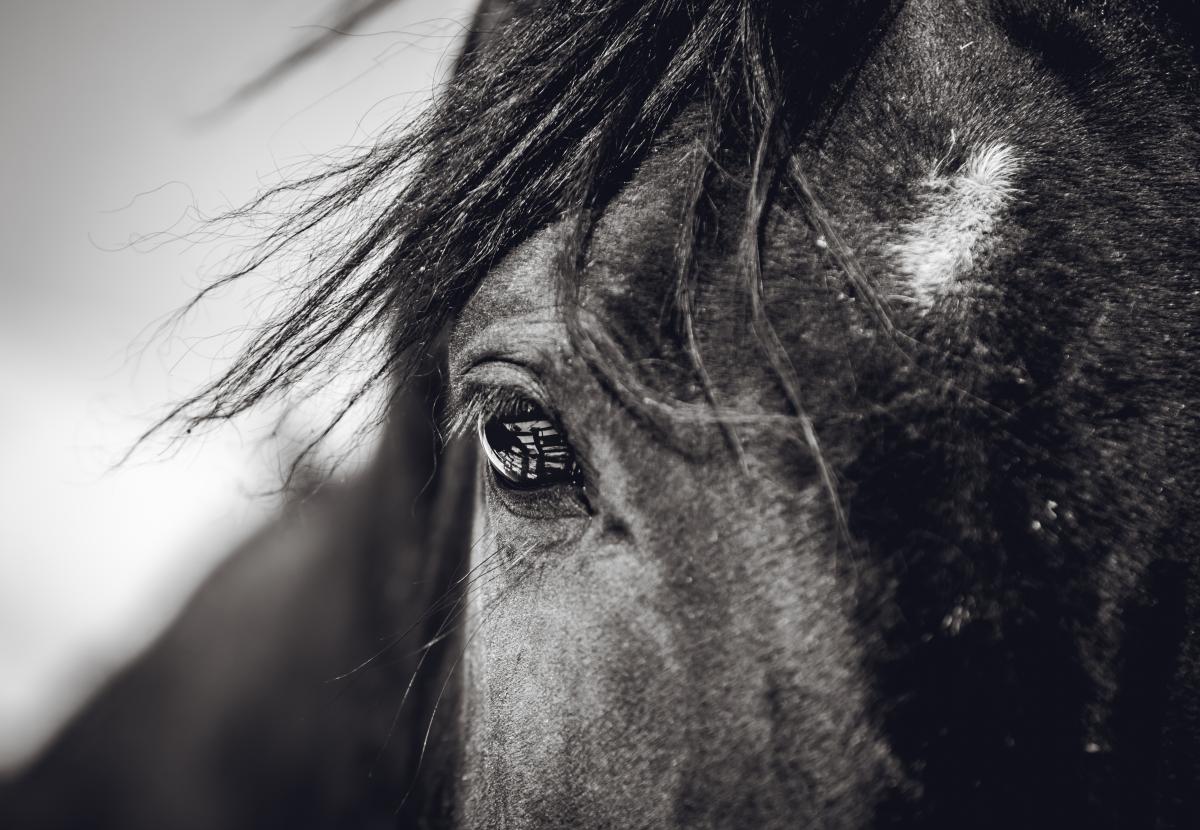 Genrebild. Foto: Adobe stock