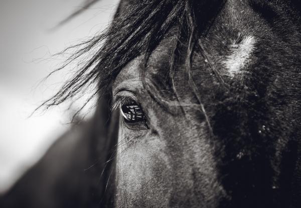 Genrebild. Foto: Adobe stock