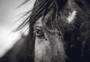 Genrebild. Foto: Adobe stock