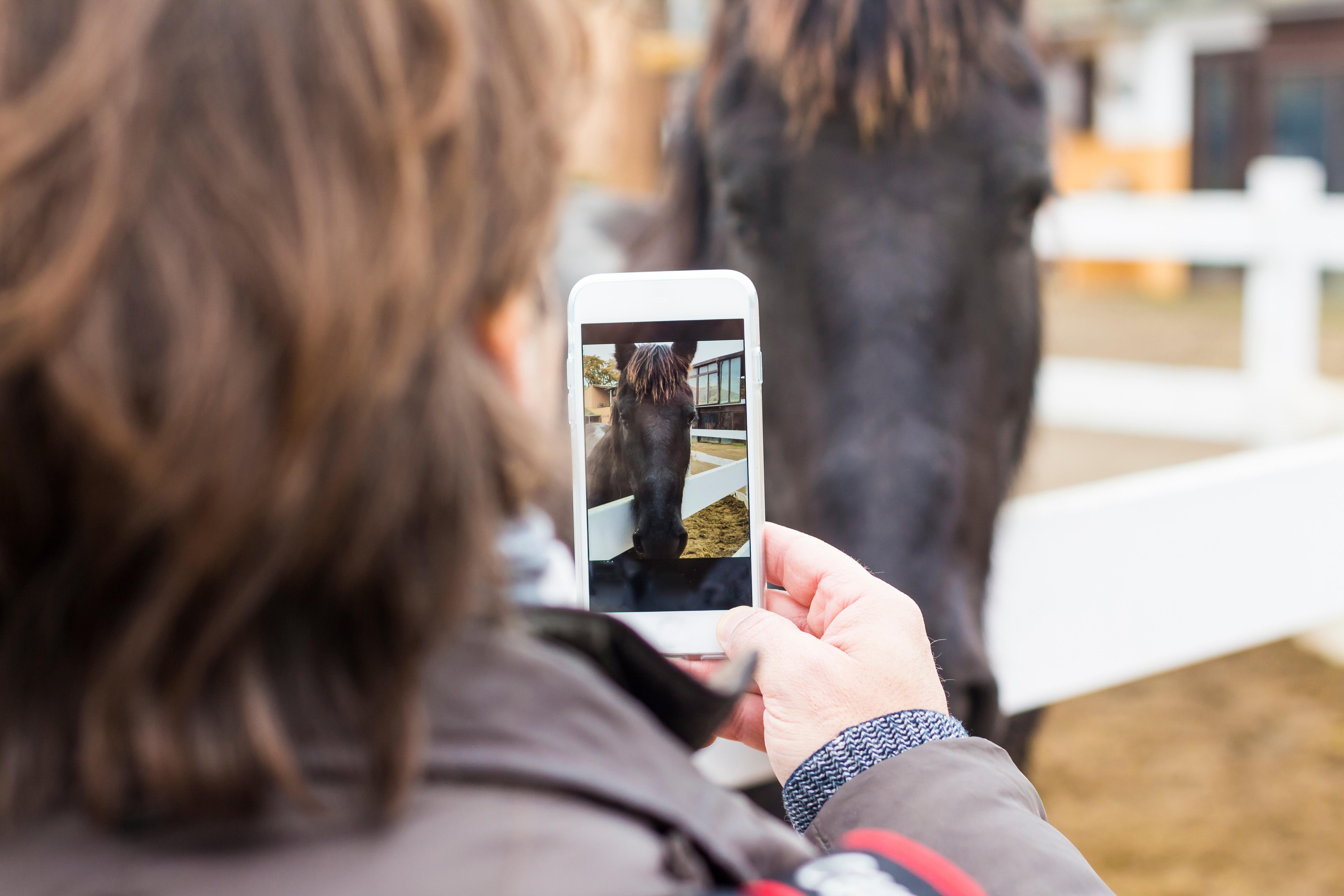 Foto: Adobe Stock 