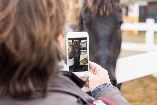 Foto: Adobe Stock 