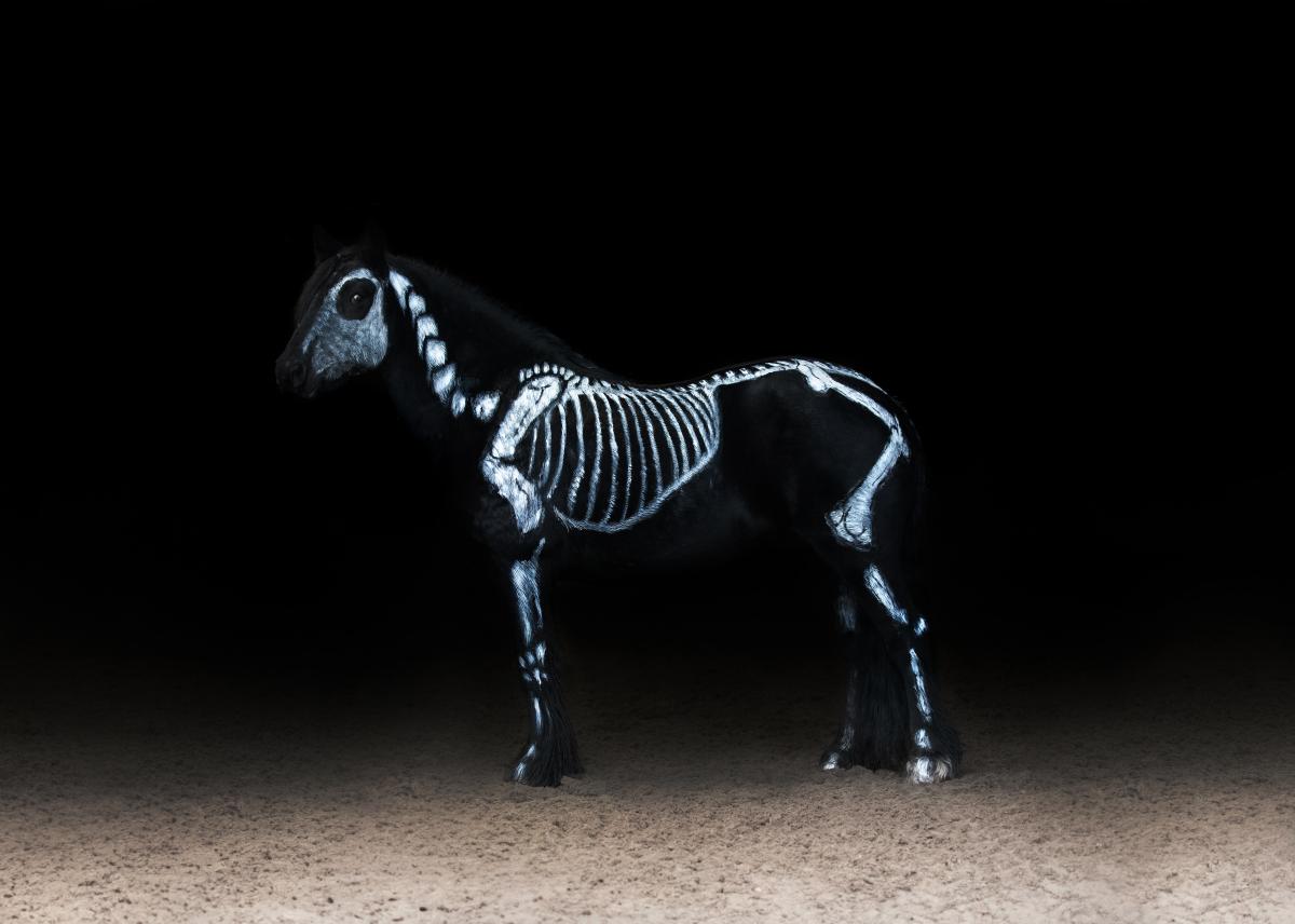 Akrivbild: AdobeStock