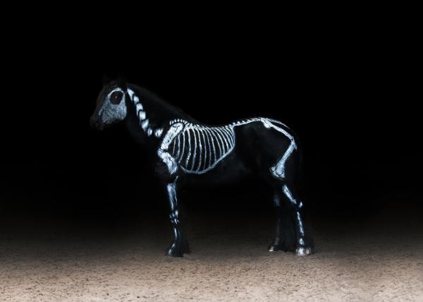 Akrivbild: AdobeStock