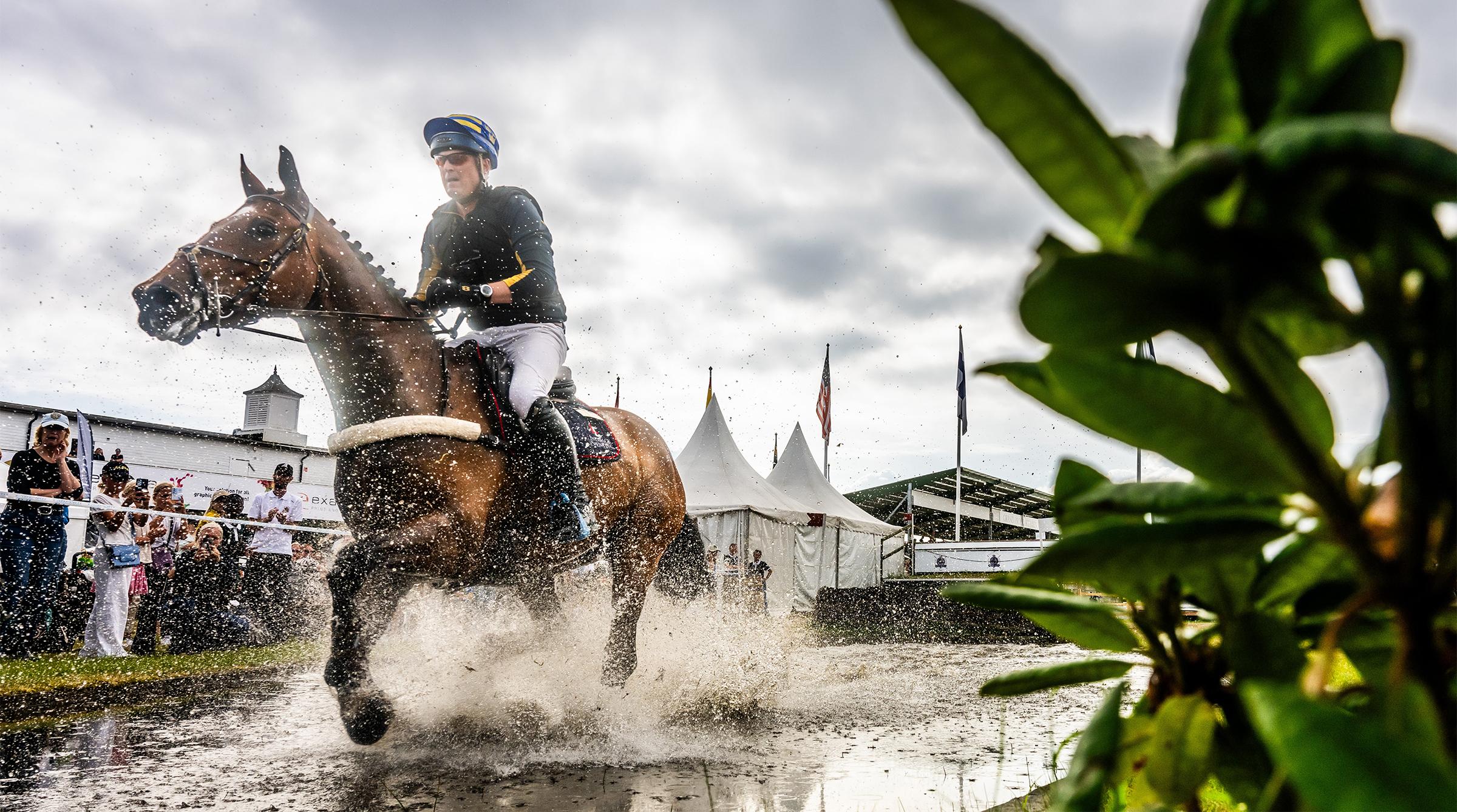 Niklas Lindbäck och Focus Filiocus. Foto: Petter Arvidsson/Bildbyrån