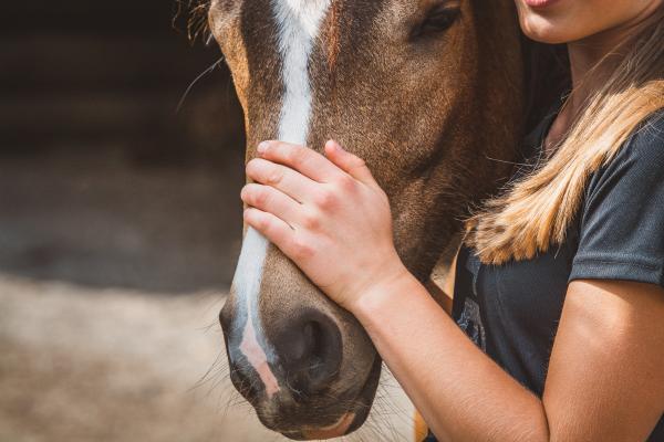 Arkivfoto: Adobe stock