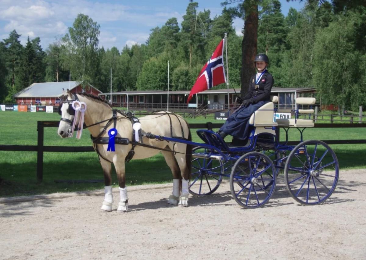Elise Lund Huseby var färdig som ponnyryttare, men ville inte släppa taget om Sol. Därför började hon med sportkörning. Foto: Privat