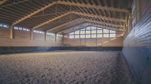 Arkivfoto: Adobe Stock