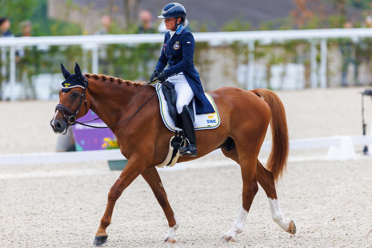 Foto: Tomas Holcbecher