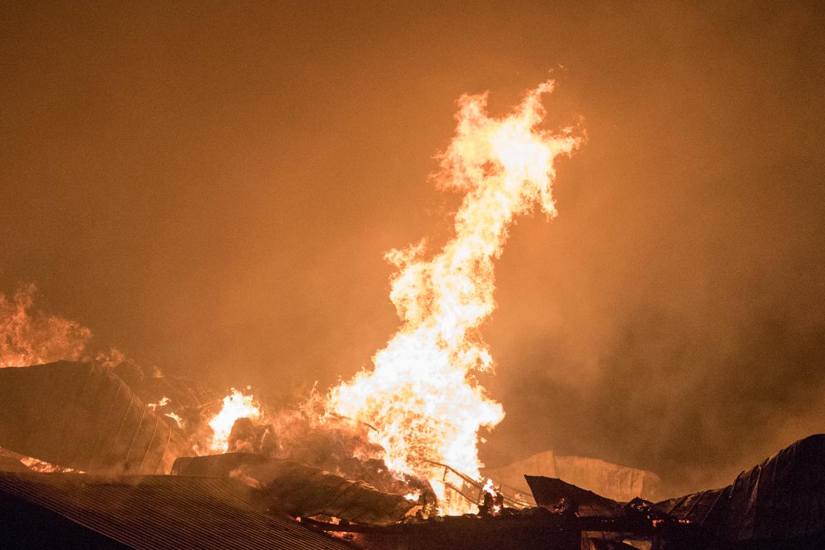 Genrebild som inte har med händelsen att göra. Foto: Adobe stock