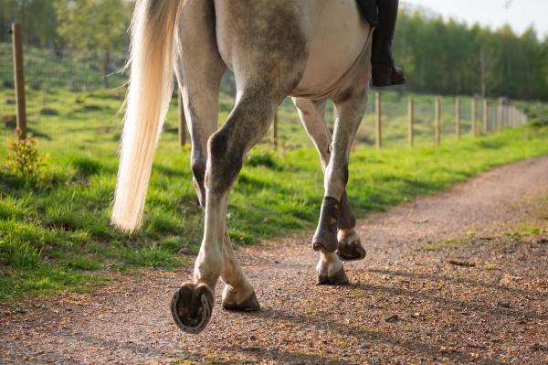 Genrebild. Foto: Privat