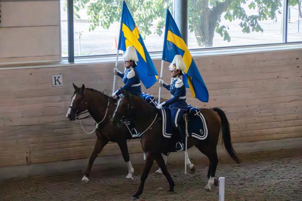 Så utbildas Beridna Högvaktens unghästar