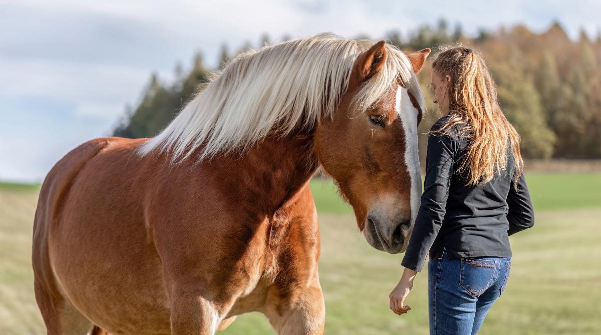 Arkivfoto: Adobe Stock