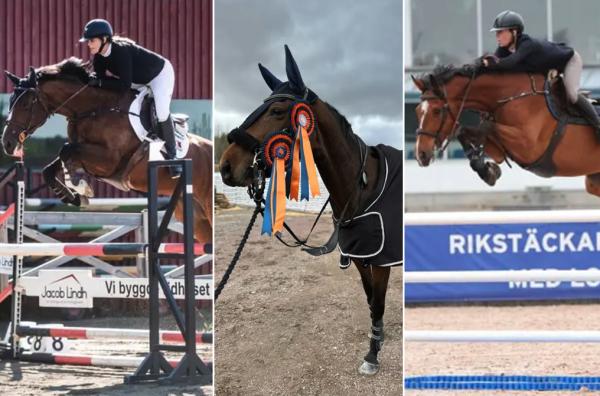 Tips från Floccs: Fyra hopphästar för sporten