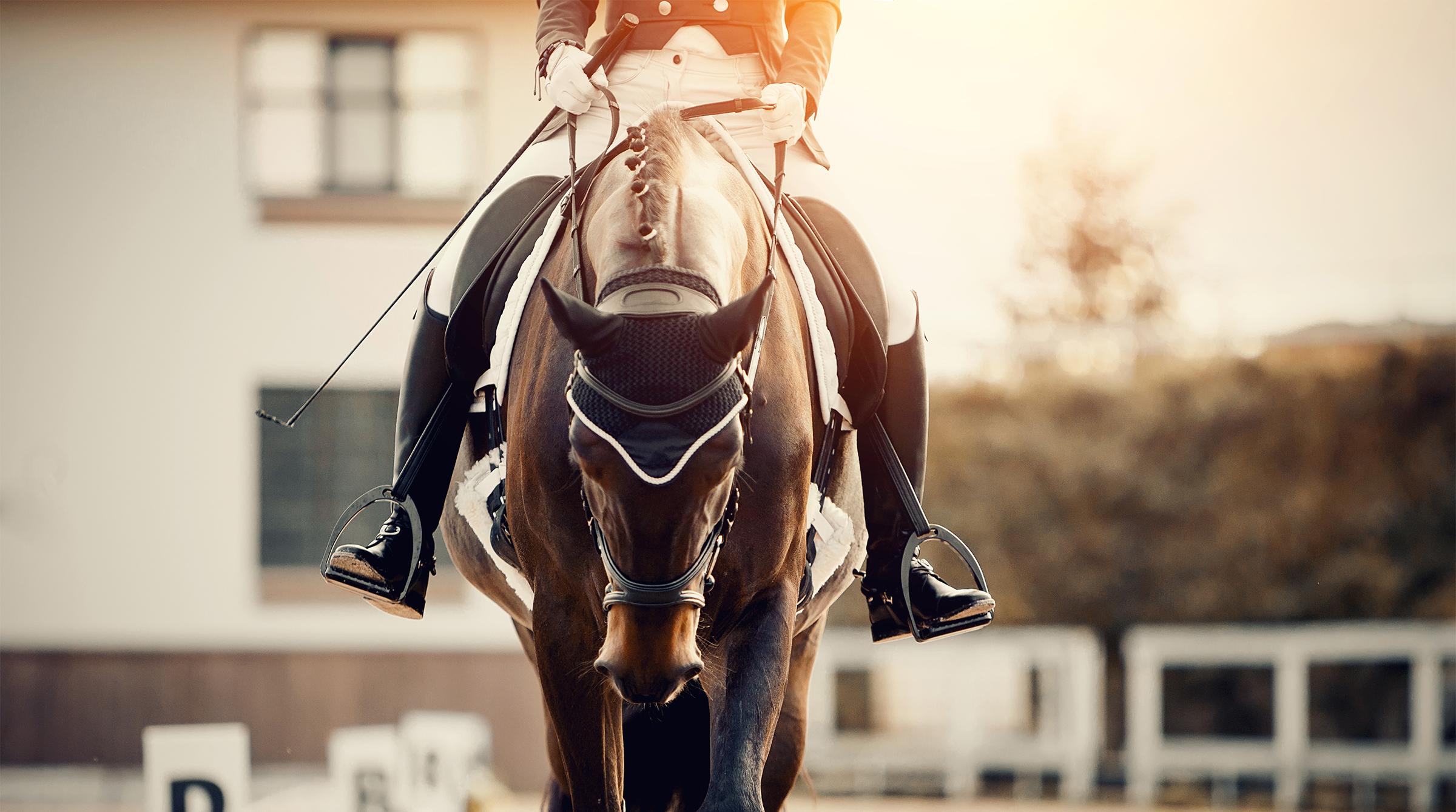 Arkivfoto: Adobe Stock