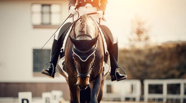 Arkivfoto: Adobe Stock