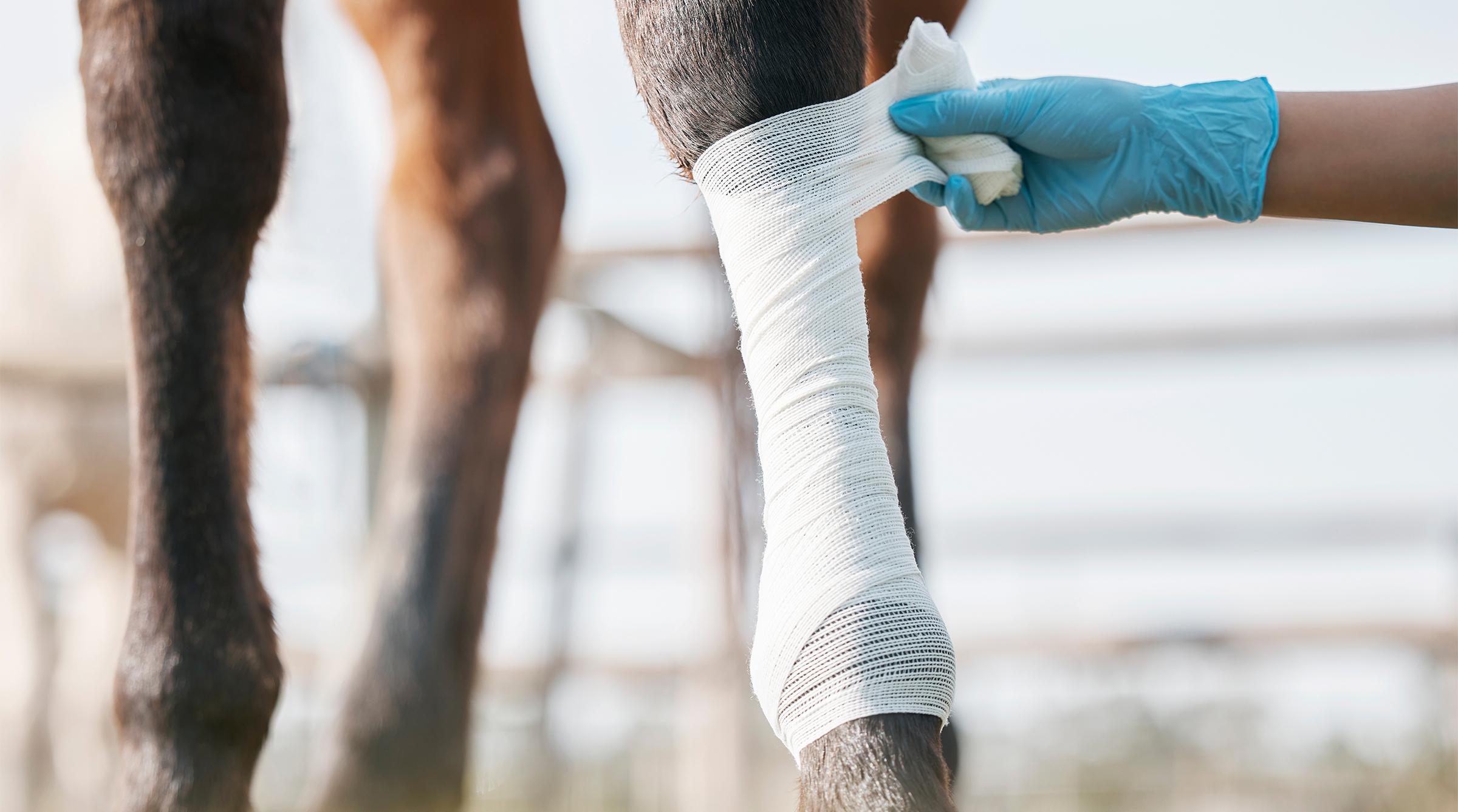 Arkivfoto: Adobe Stock