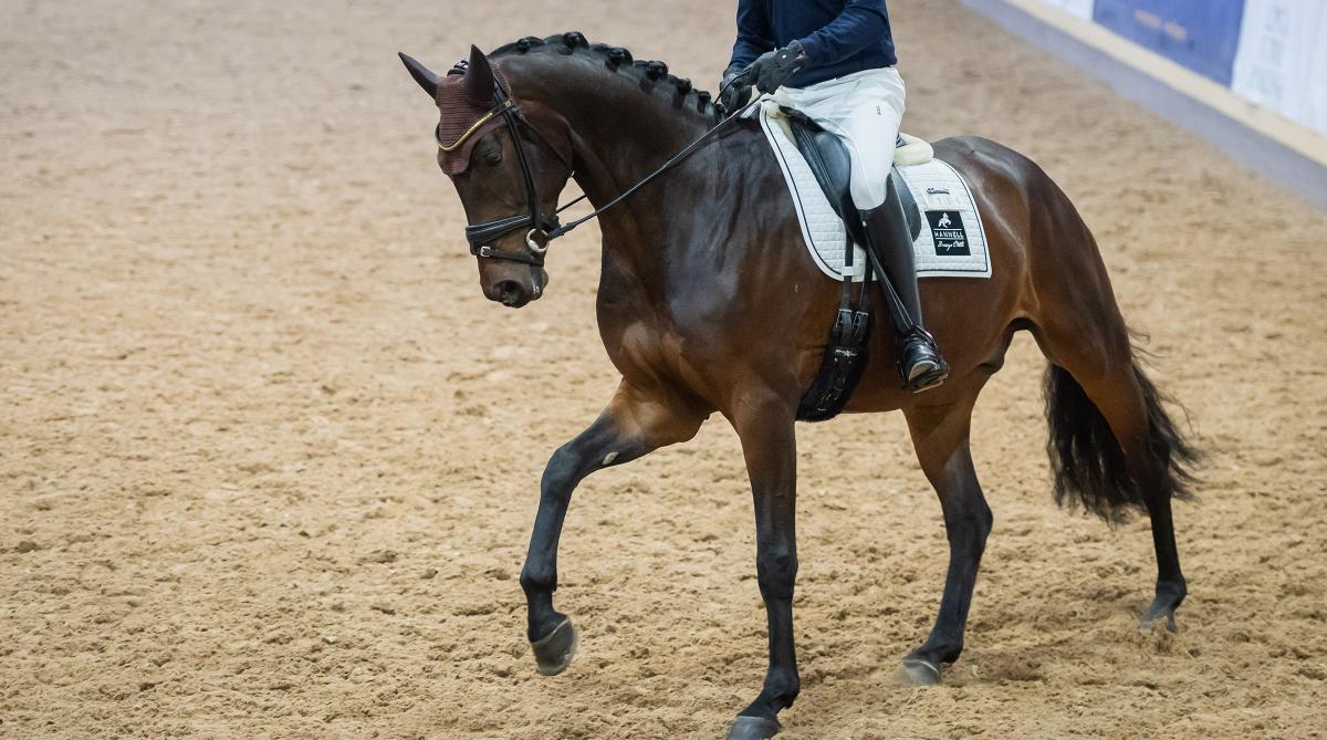 KS Frank Sinatra vid förra årets testridning. Arkivfoto: Ida Lindemann