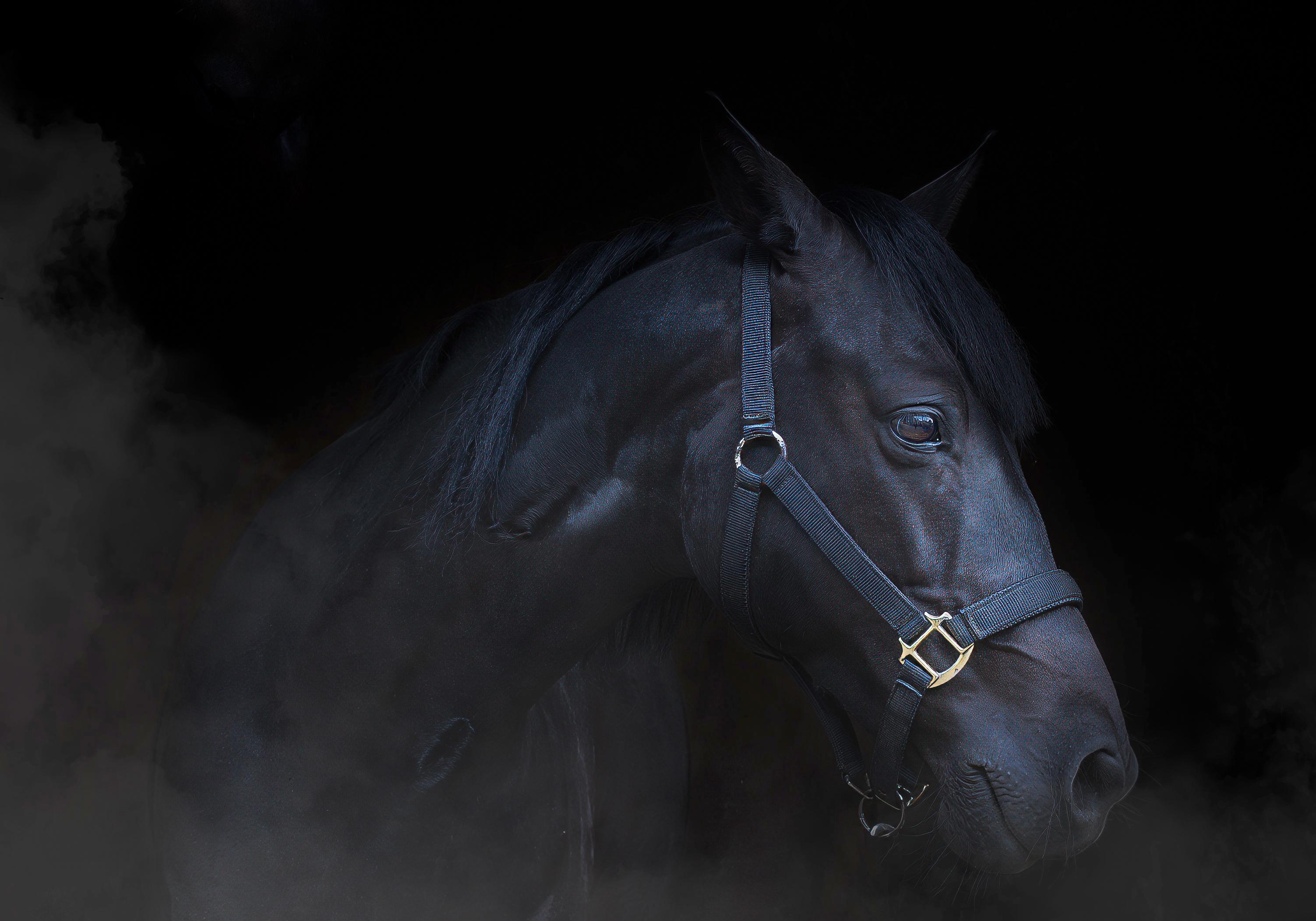 Akrivbild: AdobeStock