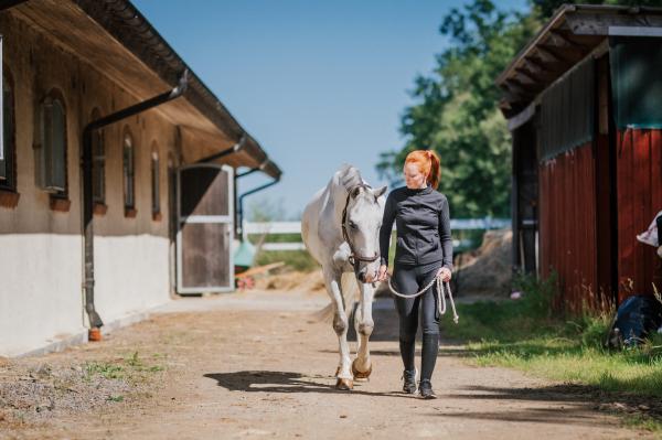 EN trygg stallmiljö kräver både kunskap och rutiner. Foto: Ida Lindemann 