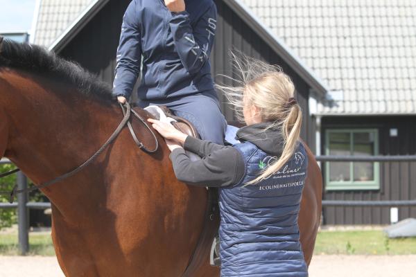 Foto: Cajsa Ekström Arman