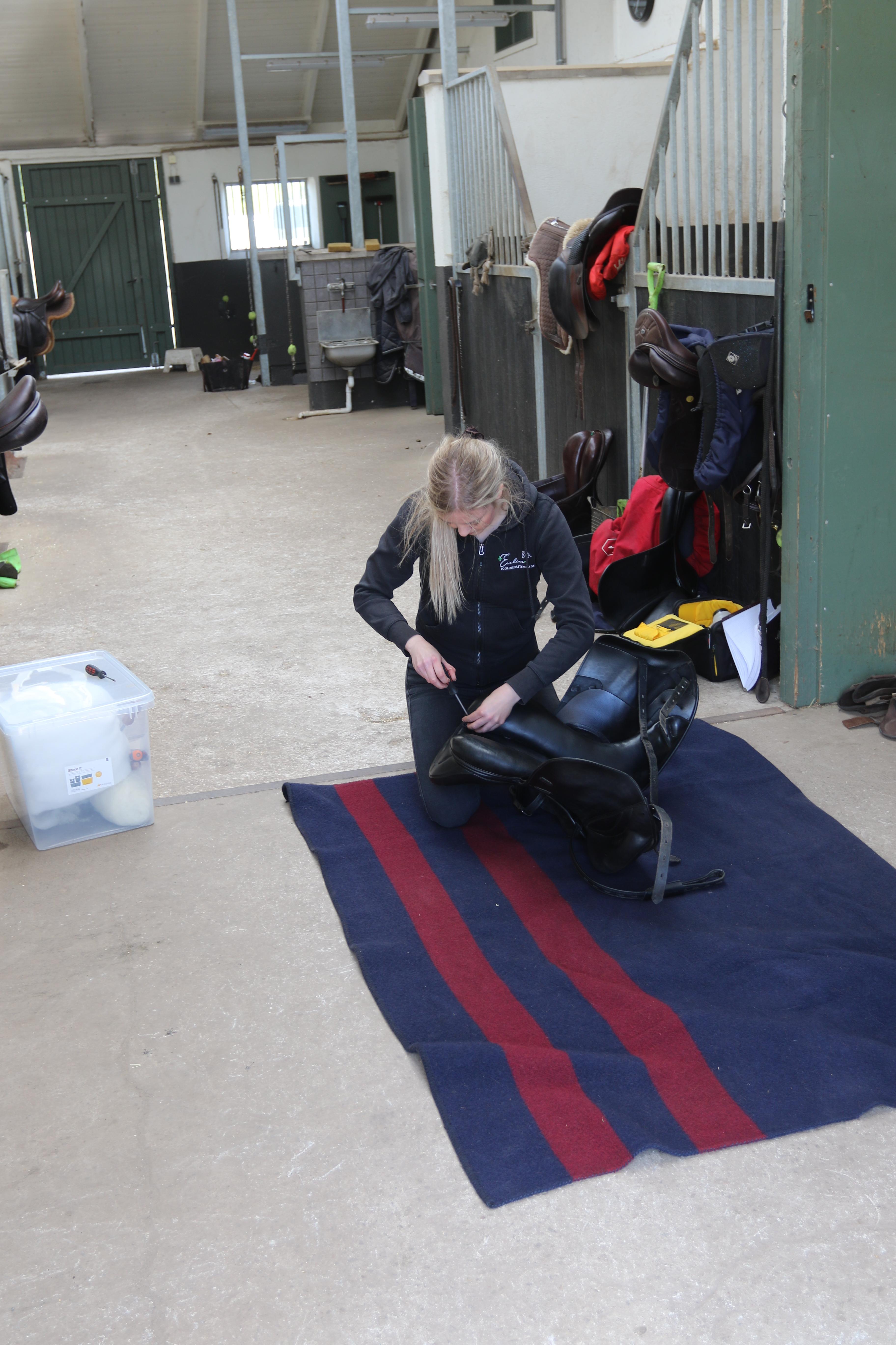 När är det dags att stoppa om sadeln?