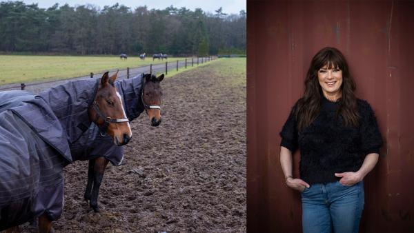 Foto: Adobe Stock/Pressfoto