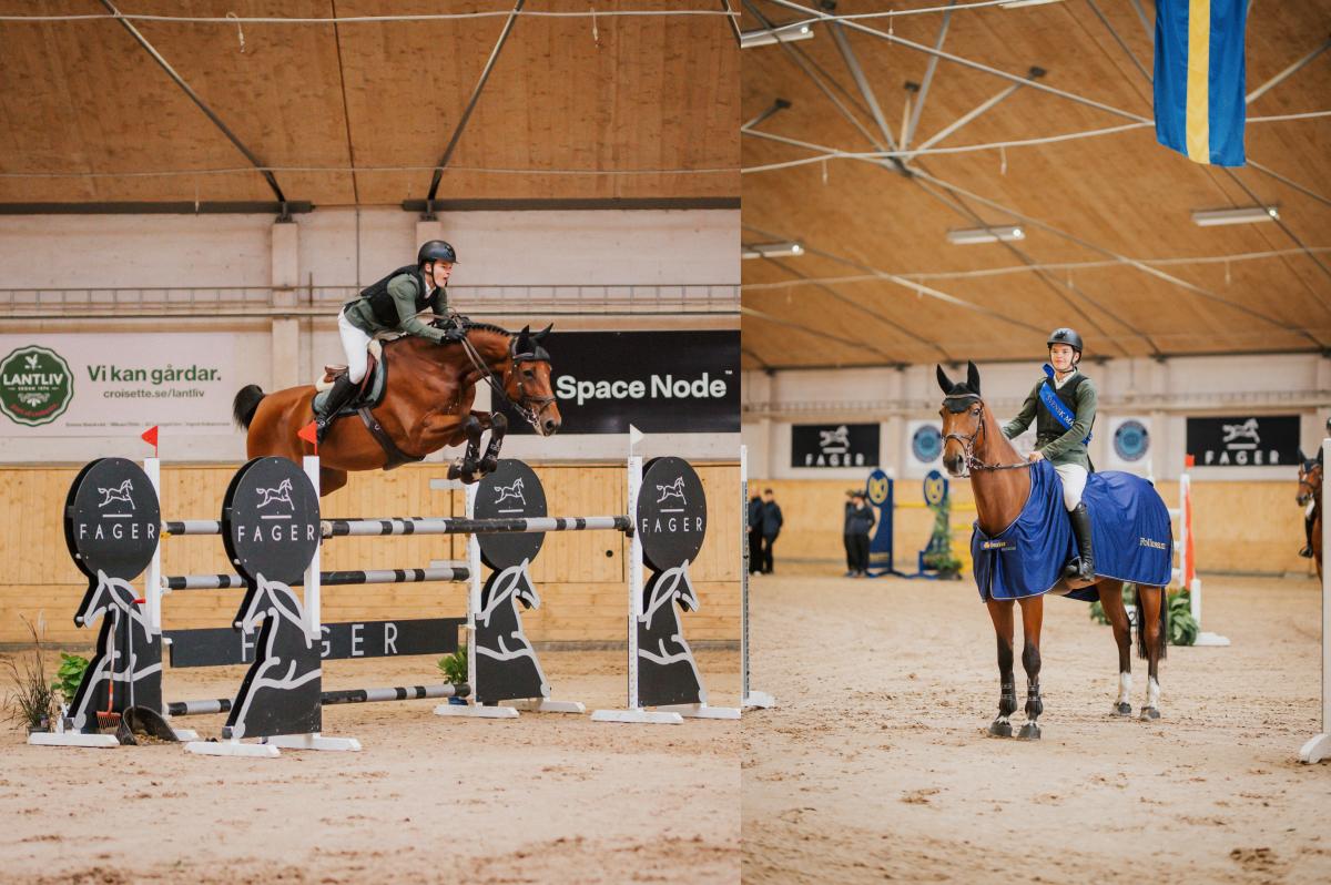 Carl-Hugo Westergren och valacken D-Day de Tiji Z. Foto: Ida Lindemann 