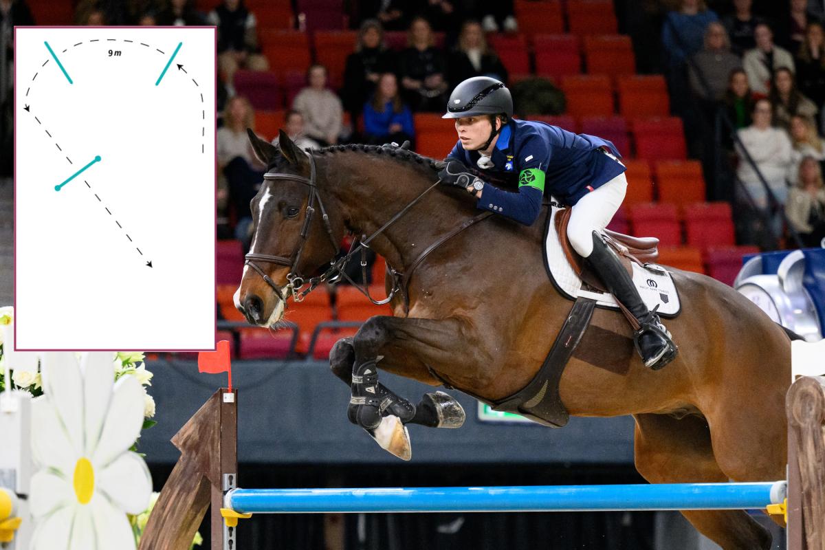 André Brandts favoritövning