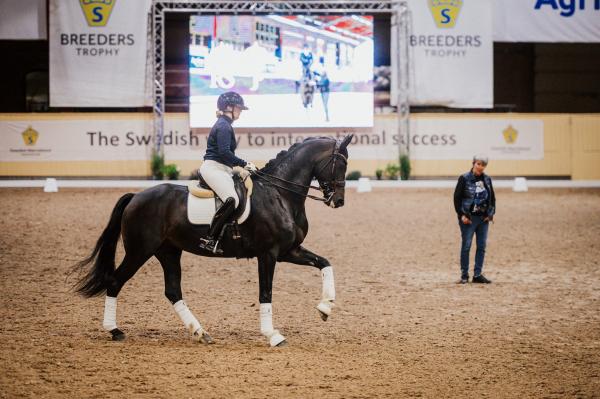 Johanna Due Boje och stoet Estelle får hjälp från Kyra Kyrklund under en clinic på Flyinge. Foto: Ida Lindemann