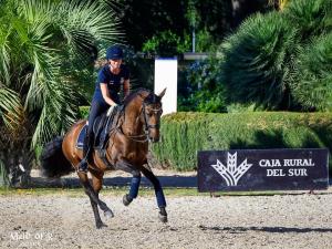 Jogg och lek dagen innan tävlingen börjar.