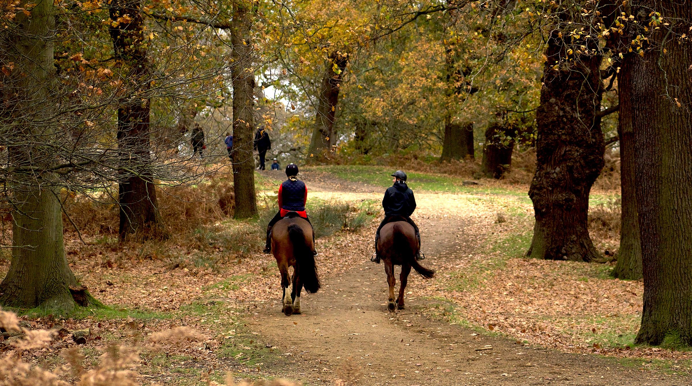 Arkivfoto: Adobe Stock