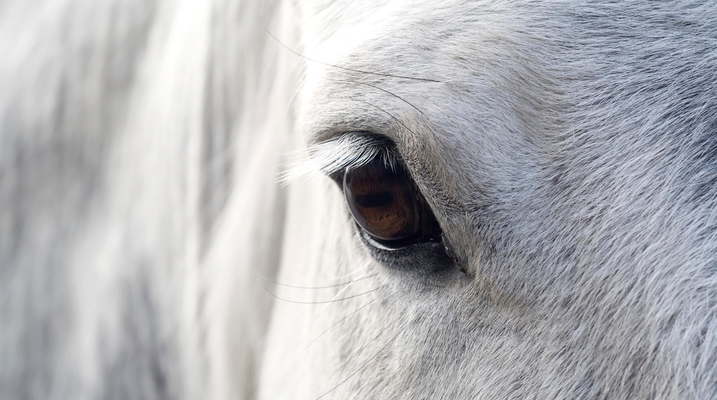 Arkivfoto: Adobe Stock