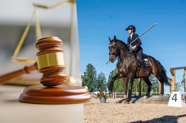 Hästjuristen Malin Wikström under lag-SM i WE. Foto: Adobe Stock & Partum Media Productions
