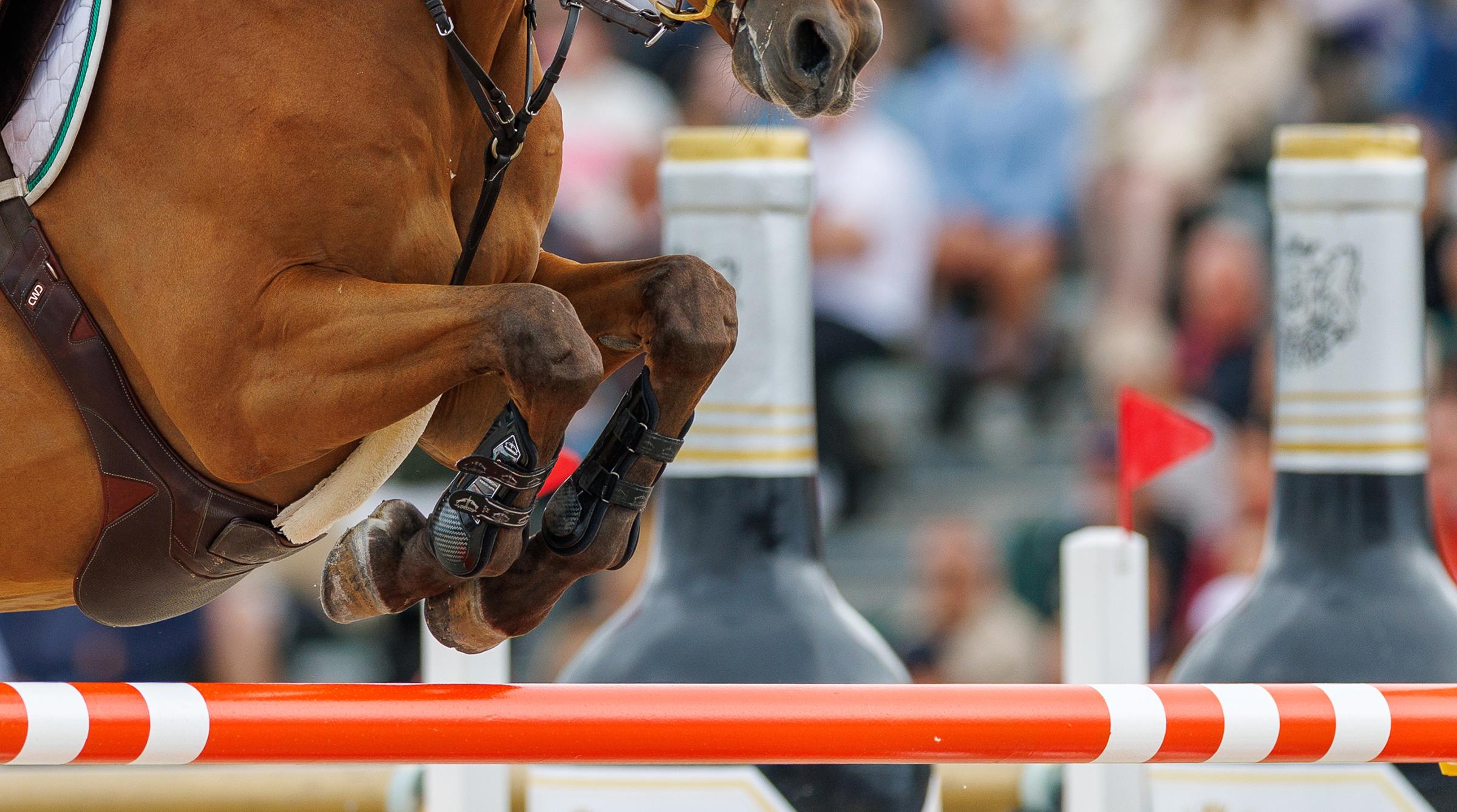 Arkivfoto: Tomas Holcbecher