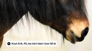 Arkivfoto: Adobe Stock