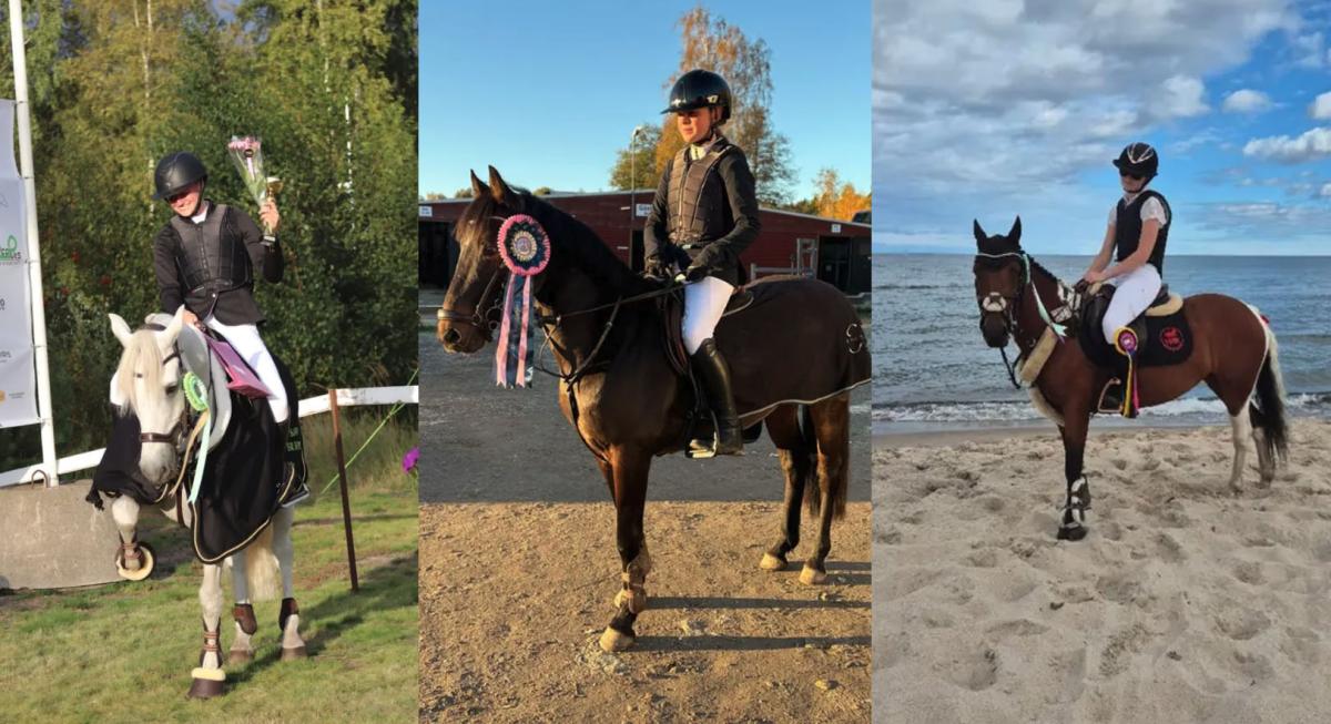 Tips från Floccs: Fem fina ponnyer för hoppning